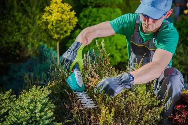 landscaping services Ironwood